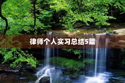 律师个人实习总结5篇