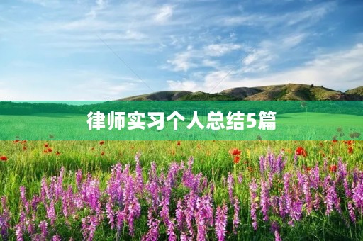 律师实习个人总结5篇 律师实习个人总结5篇