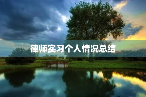 律师实习个人情况总结