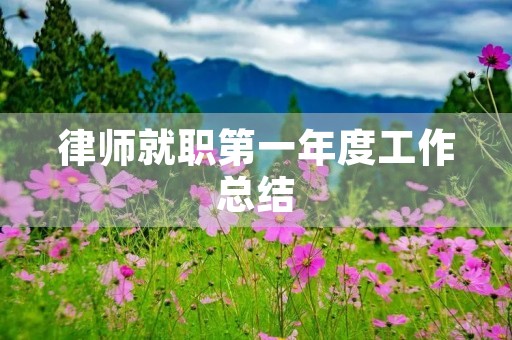 律师就职第一年度工作总结