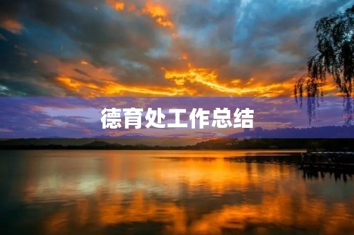 德育处工作总结