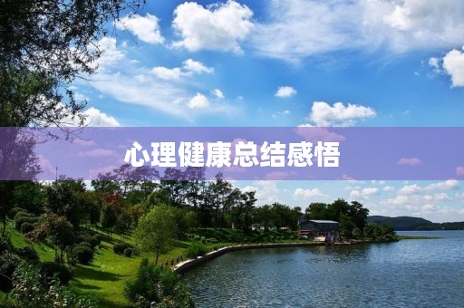 心理健康总结感悟