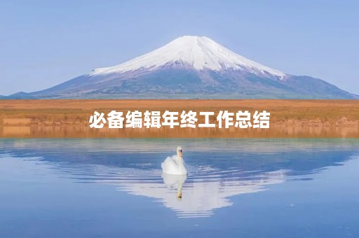 必备编辑年终工作总结