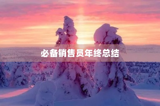 必备销售员年终总结 必备销售员年终总结