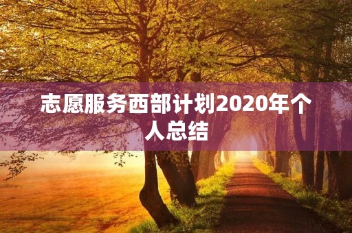 志愿服务西部计划2020年个人总结