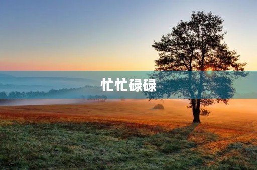 忙忙碌碌