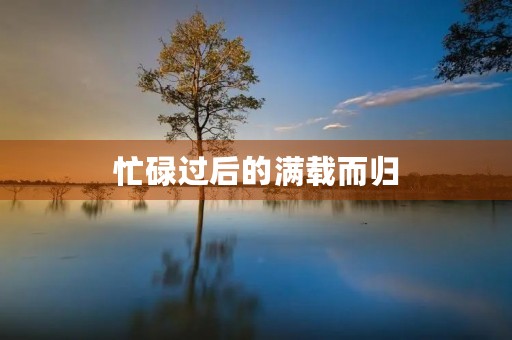 忙碌过后的满载而归 忙碌过后的满载而归