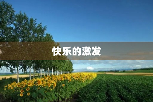 快乐的激发