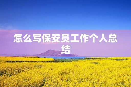 怎么写保安员工作个人总结