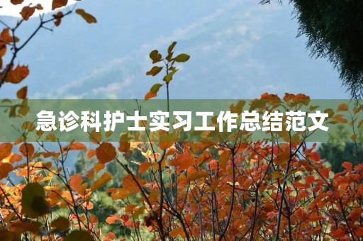 急诊科护士实习工作总结范文 急诊科护士实习工作总结范文