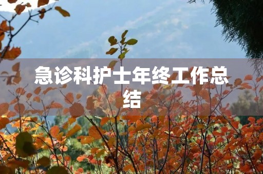急诊科护士年终工作总结 急诊科护士年终工作总结