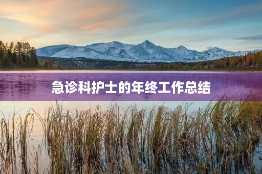 急诊科护士的年终工作总结