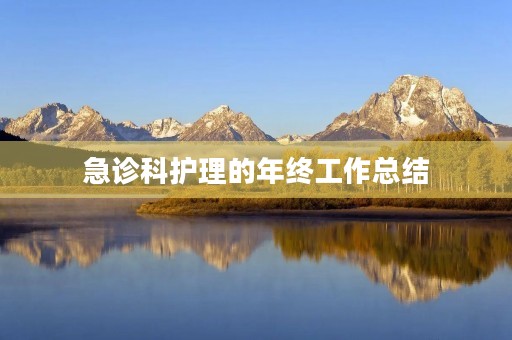 急诊科护理的年终工作总结