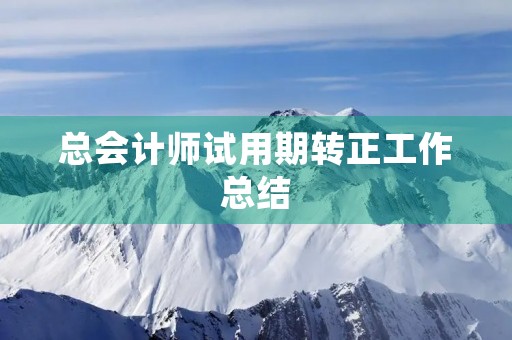 总会计师试用期转正工作总结