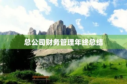 总公司财务管理年终总结