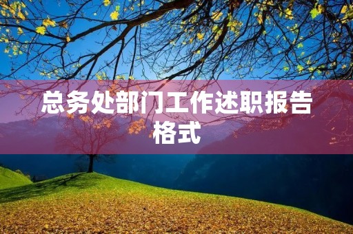 总务处部门工作述职报告格式