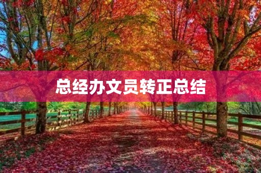 总经办文员转正总结