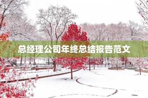 总经理公司年终总结报告范文