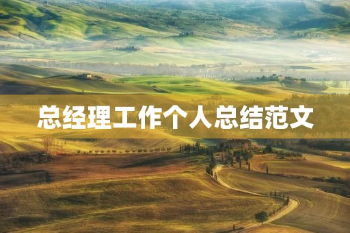 总经理工作个人总结范文