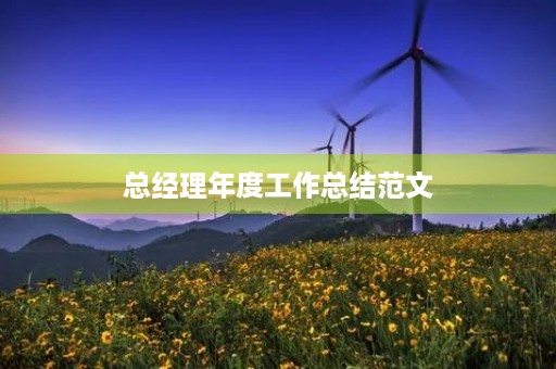 总经理年度工作总结范文