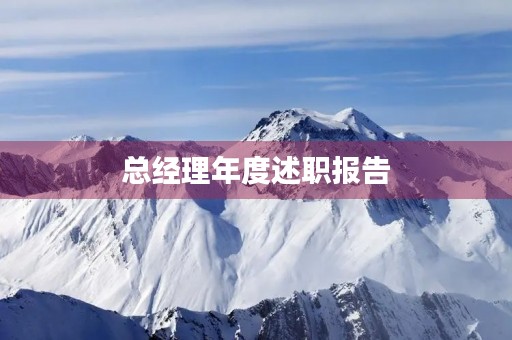 总经理年度述职报告