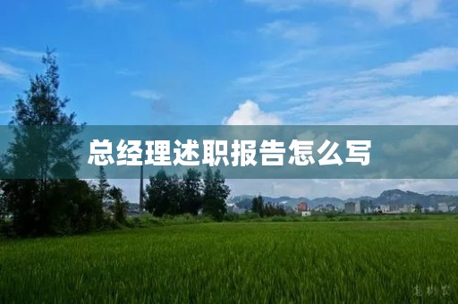 总经理述职报告怎么写