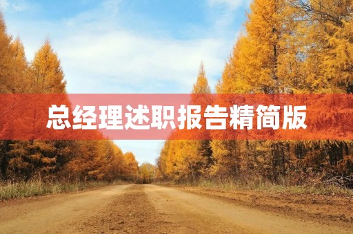 总经理述职报告精简版 总经理述职报告精简版