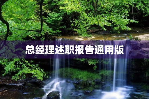 总经理述职报告通用版
