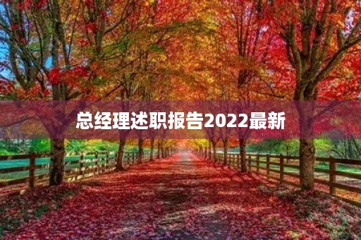 总经理述职报告2022最新