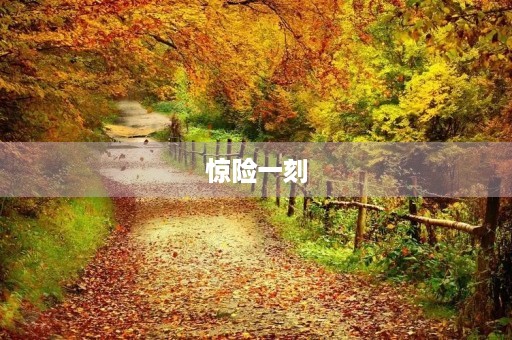 惊险一刻 惊险一刻