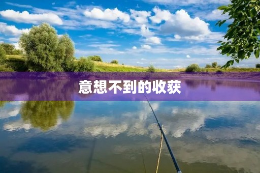 意想不到的收获 意想不到的收获