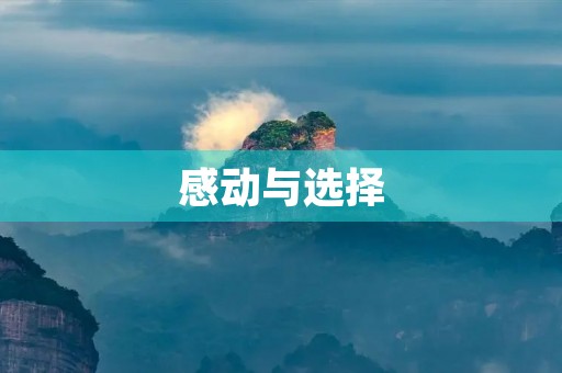 感动与选择