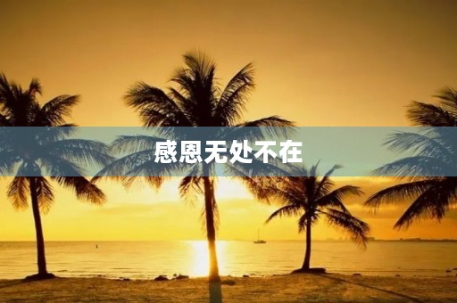 感恩无处不在