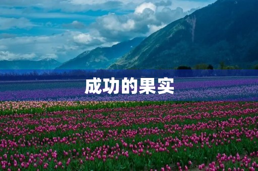 成功的果实 成功的果实