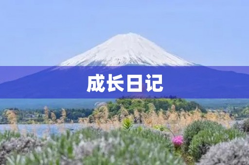 成长日记 成长日记