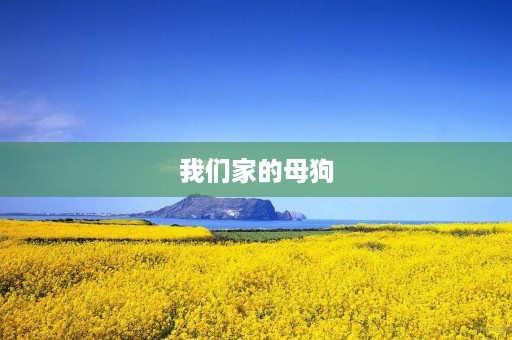 我们家的母狗 我们家的母狗