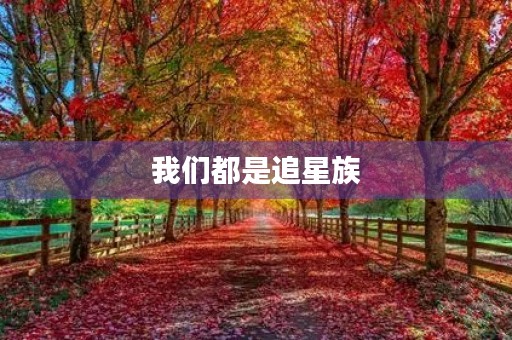 我们都是追星族 我们都是追星族