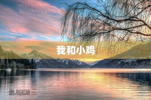 我和小鸡 我和小鸡