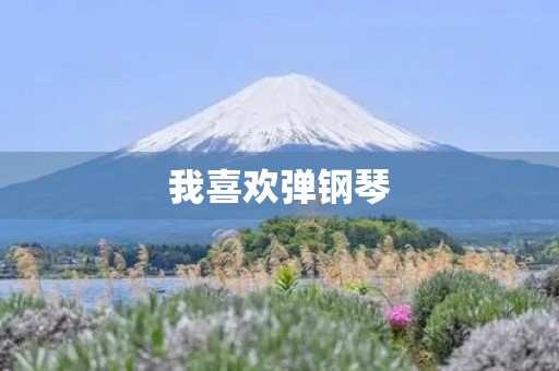 我喜欢弹钢琴 我喜欢弹钢琴