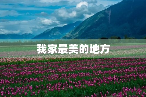 我家最美的地方 我家最美的地方