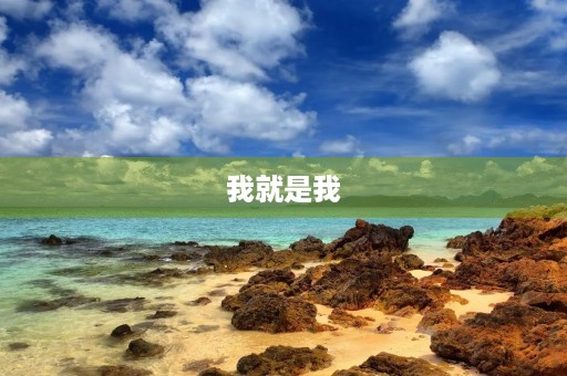 我就是我，不一样的我