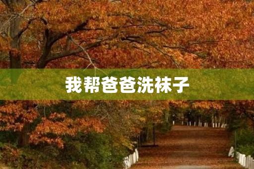 我帮爸爸洗袜子