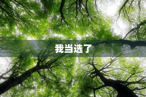 我当选了