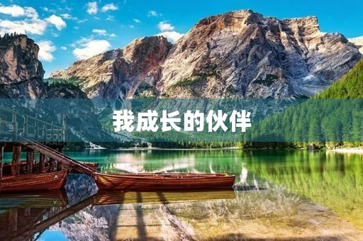 我成长的伙伴 我成长的伙伴