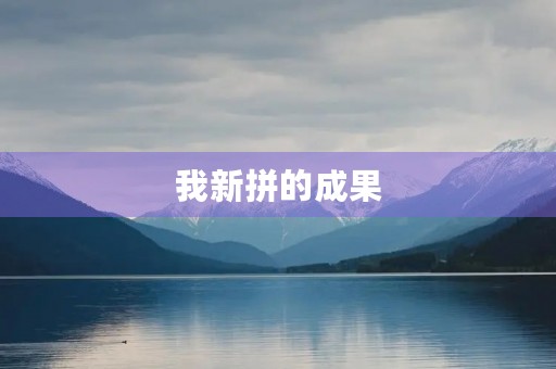 我新拼的成果 我新拼的成果
