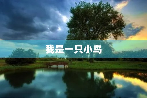 我是一只小鸟