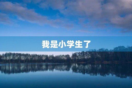 我是小学生了 我是小学生了