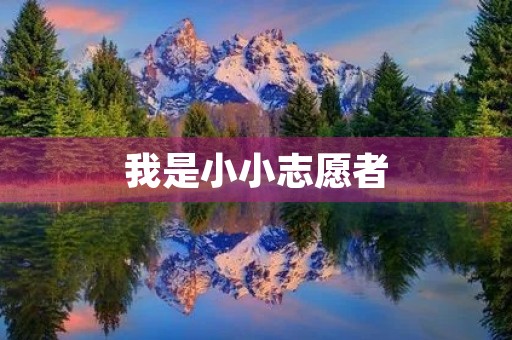 我是小小志愿者