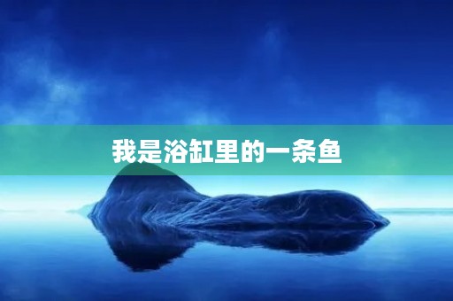 我是浴缸里的一条鱼