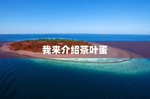 我来介绍茶叶蛋